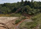 Limpasan Limbah Cair Muara Alam Sejahtera Anak Usaha Baramulti Grup Diduga Cemari Sungai Tabu